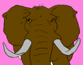 Desenho Elefante africano pintado por sarah