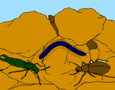 Desenho Vários insectos pintado por NADIM45