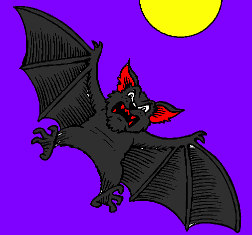 Morcego cão