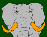 Desenho Elefante africano pintado por ALLAN