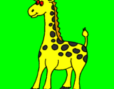 Desenho Girafa pintado por quero-quero