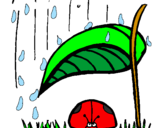 Desenho Joaninha protegida da chuva pintado por indhaya