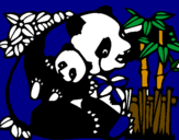 Desenho Mamã panda pintado por tati