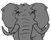 Desenho Elefante africano pintado por ~clarisse