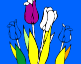 Desenho Tulipa pintado por luana