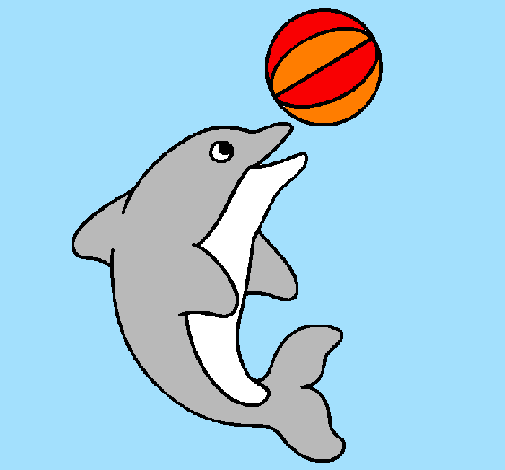 Golfinho a jogar com uma bola
