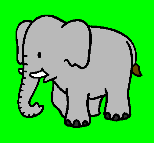 Elefante bebé