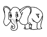 Desenho Elefante pequeno pintado por Catarina