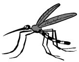 Desenho Mosquito pintado por arthur