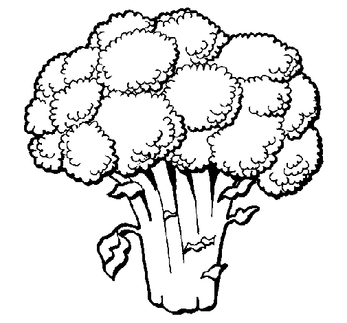 Desenho Brócolos pintado por uuityui