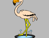 Desenho Flamingo com os pés de molho pintado por Ric