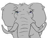 Desenho Elefante africano pintado por patrick
