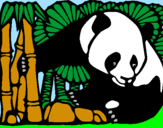 Desenho Urso panda e bambu pintado por dani