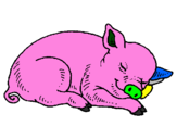 Desenho Porco a dormir pintado por JOAO   VICTOR