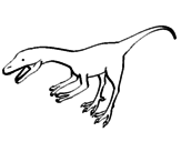 Desenho Velociráptor II pintado por Dinoussauro