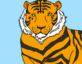 Desenho Tigre pintado por Tigermisu
