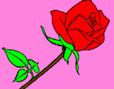 Desenho Rosa pintado por jesua patricia