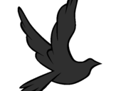 Desenho Pomba da paz a voar pintado por Bird