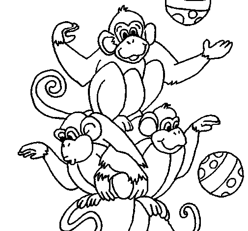Desenho Macacos a fazer malabarismos pintado por u