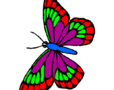 Desenho Borboleta pintado por borboleta colorida