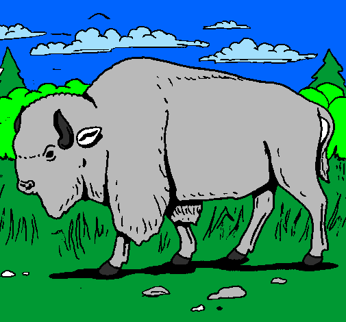 Desenho Búfalo pintado por bisão