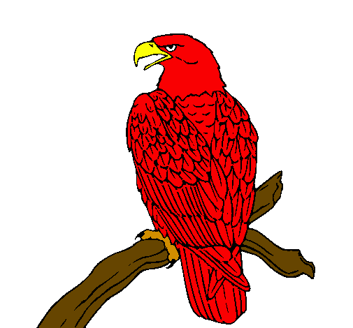 Desenho Águia num ramo pintado por gavião