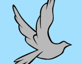 Desenho Pomba da paz a voar pintado por lisandra
