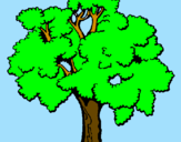 Desenho Árvore pintado por Lara
