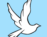 Desenho Pomba da paz a voar pintado por sissi