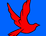 Desenho Pomba da paz a voar pintado por joao victor