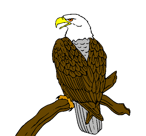 Desenho Águia num ramo pintado por Aguia