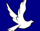 Desenho Pomba da paz a voar pintado por trimão