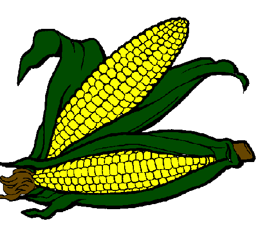 Desenho Espiga de milho  pintado por Milho