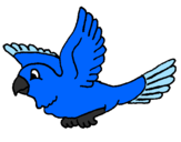 Desenho Periquito pintado por ararinha-azul
