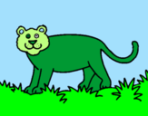 Desenho Panthera  pintado por taynazinha