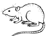 Desenho Rata subterrânea pintado por rato...