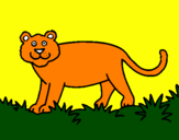 Desenho Panthera  pintado por sait