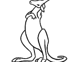 Desenho Canguro pintado por canguru