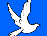 Desenho Pomba da paz a voar pintado por joao guilherme