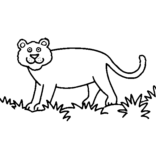 Desenho Panthera  pintado por pantera