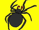 Desenho Aranha venenosa pintado por viuva gostosa