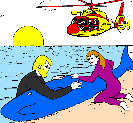 Resgate baleia
