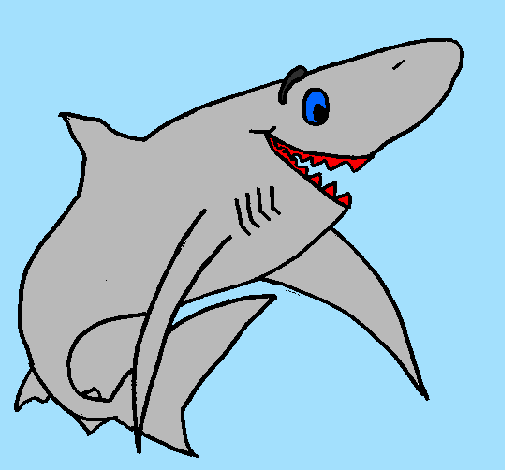 Tiburão alegre