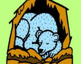 Desenho Urso a hibernar pintado por yasmim