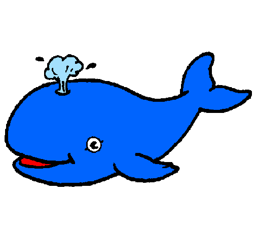 Desenho de Baleia azul para Colorir - Colorir.com
