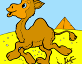 Desenho Camelo pintado por camelinho