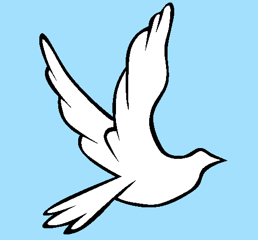 Desenho Pomba da paz a voar pintado por passaro de Deus