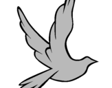 Desenho Pomba da paz a voar pintado por MURIL DE JESUS