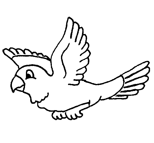 Desenho Periquito pintado por passáro