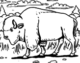 Desenho Búfalo pintado por bisao
